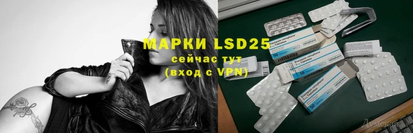ПСИЛОЦИБИНОВЫЕ ГРИБЫ Липки