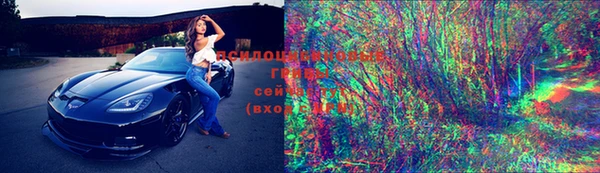 ПСИЛОЦИБИНОВЫЕ ГРИБЫ Липки