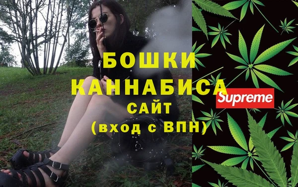 спиды Лиски