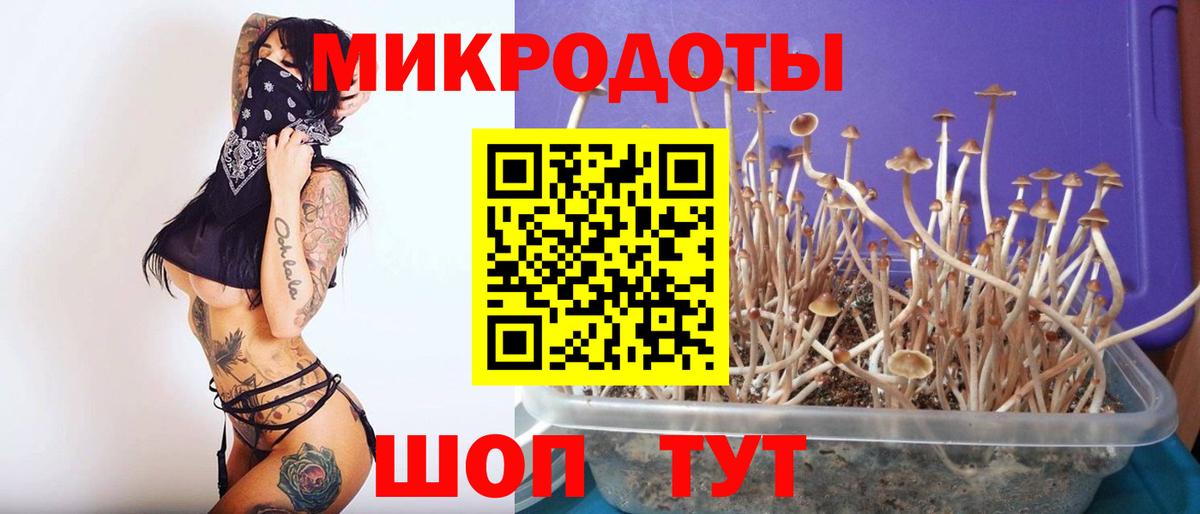 Галлюциногенные грибы Magic Shrooms  где купить   Галлюциногенные грибы мухоморы  Урус-Мартан  Вход с VPN 