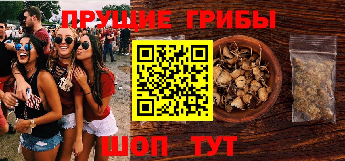 Галлюциногенные грибы Psilocybine cubensis  Галлюциногенные грибы MAGIC MUSHROOMS  Урус-Мартан 