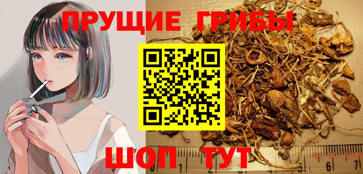 Галлюциногенные грибы прущие грибы Урус-Мартан