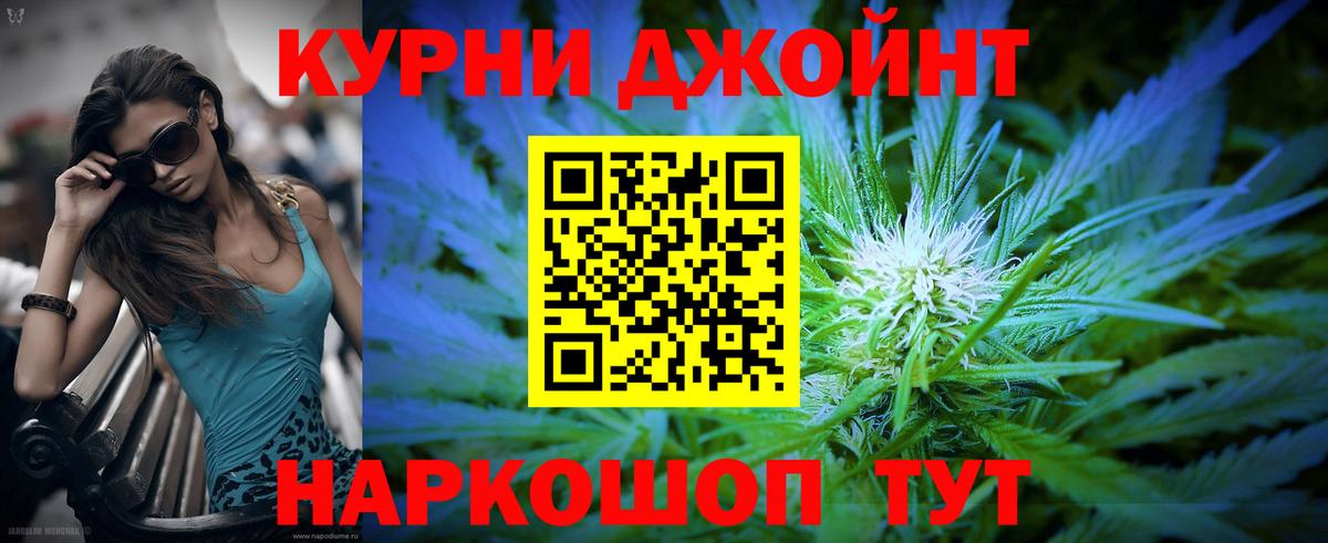 Конопля сатива Урус-Мартан